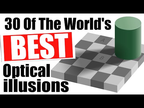 30 Of The World's BEST Optical illusions