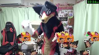 【Fursuit/獣化#141】水曜のもふもふタイム🐶🐾【ジュージュー/JuuJuu】#fursuit #獣化 #live