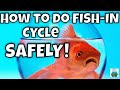 How to Do a Fish In Cycle the SAFE way! NEW AND IMPROVED!
