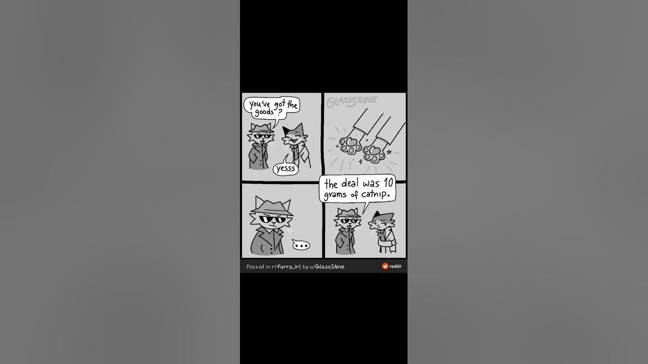furry-memes-shorts-11-furrymemes-memes-furry-furryfandom-shorts