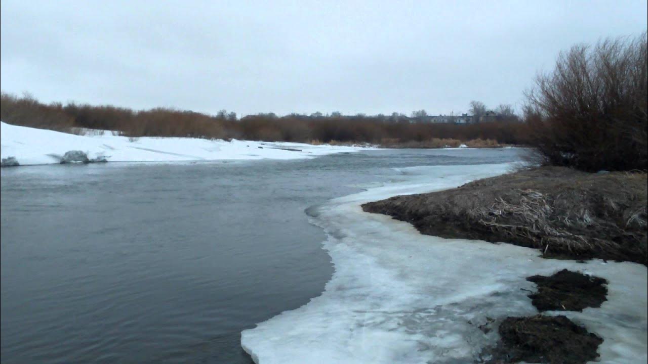 Г ишим тюменская область. Бассейн реки иртыш. Река ишим петропавловск. Река ишим в городе ишиме. Река ишим викулово.