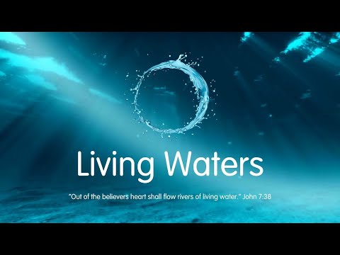 The Spring: The Source of it All