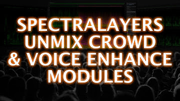 Steinberg SpectraLayers Makes Crowd Noise Removal And Voice Repair Surprisingly Easy