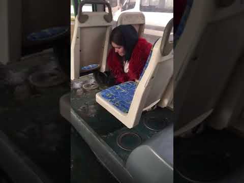Задрал ноги в автобусе. Малолетки в автобусе 13 карат. Раздели малолетку в автобусе. Обмочилась в автобусе. Женщины в общественном транспорте.