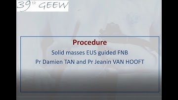 Solid masses EUS guided FNB - 39th GEEW, 2022 - Experts: Damien TAN and Jeanin van HOOFT