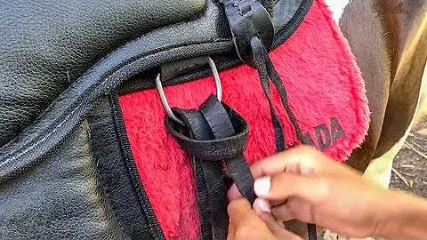 Como colocar sela corretamente no cavalo?