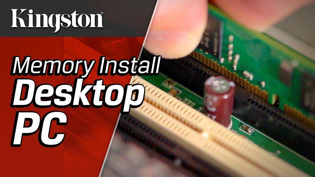 Salme Først Procent How to Install Memory in Your Desktop PC - YouTube