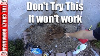 How to remove a Palm Tree Stump - The easiest way