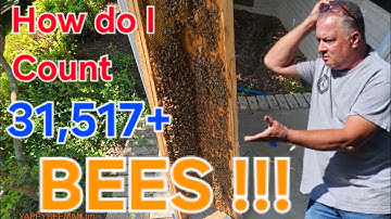 Unexpected Discovery: What