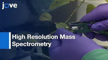 Rapid High-Throughput Species Identification-Botanical Material: Direct Analysis l Protocol Preview