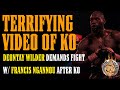 Deontay Wilder INSANE Knockout Video - DEMANDING Francis Ngannou Fight!!!