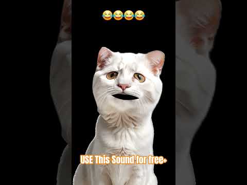 نكتة كيف أبدو
