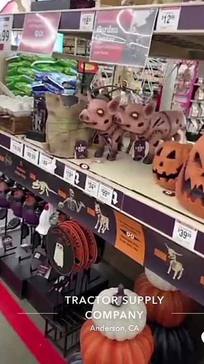 This Halloween decoration was waiting for the right time 😂