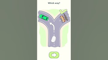 DOP 2 (Delete for one part) game level 338 solution