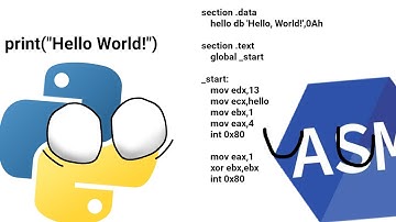 Hello World em diversas linguagens de programação | ANIMAÇÃO