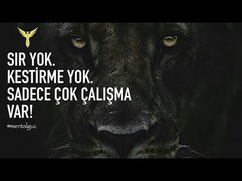 HAYALLER VS. GERÇEKLER - Türkçe Motivasyon Videosu