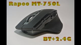Rapoo MT750L. Обзор универсальной компьютерной мышки.#rapoo