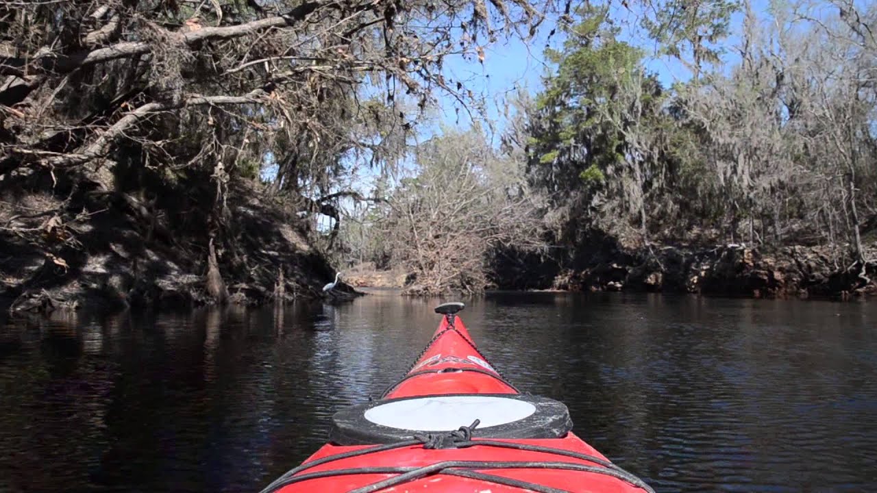 spirit of suwannee springfest 2013 & suwannee river kayak