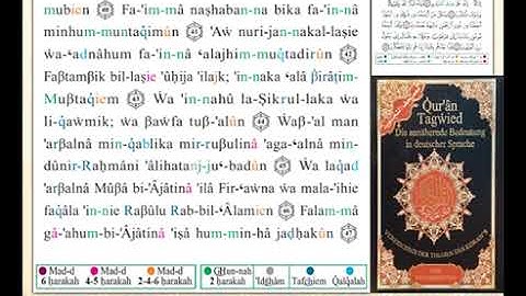 ختمة من مصحف التجويد باللغة الألمانية الصفحة رقم 492
