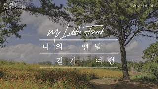 천년의 숲 송악저수지,봉곡사어싱