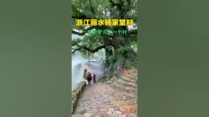 您知道一棵樹帶火了整個村嗎？浙江麗水楊家堂古村，被譽為最後的江南秘境！ #世界我來了 #帶你游中國   #旅行 #旅行推薦官 #旅行大玩家 #大美中國 - 天天要聞