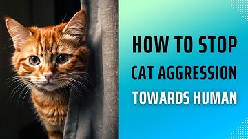 How to Stop Cat Aggression Towards Humans: Proven Tips!