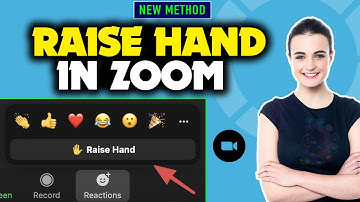 How to raise hand in zoom 2025 (Quick & Easy)