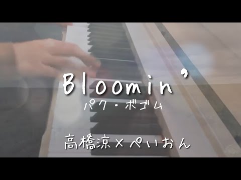 歌ってみた PARK BO GUM パク ボゴム Debut Single Bloomin Cover By ぺいおん 高橋涼 スッキリ 4月エンディングテーマソング 박보검