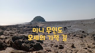 노후의 일상 기록