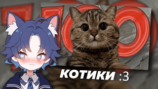 картинка: ДОФИС СМОТРИТ: 100 Фактов О Котиках