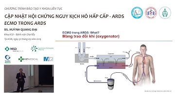 Cập nhật hội chứng nguy kịch hô hấp cấp (ARDS) #5 - ECMO trong ARDS