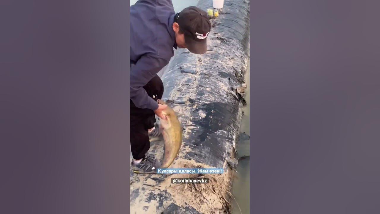 Құлсары қаласы, Жем өзені жағалауынаң жайын аулау - YouTube