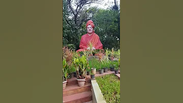 Swamy Vivekananda #swamy #vivekananda #meditation #calm #video #shorts #subscribe