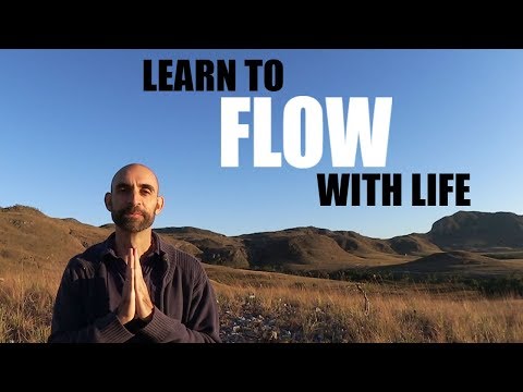 Learn to Flow
