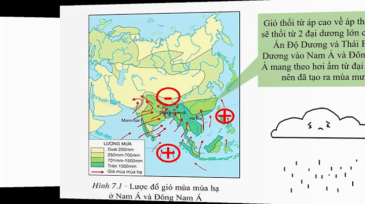 Đặc điểm khí hậu nhiệt đới gió mùa là gì năm 2024