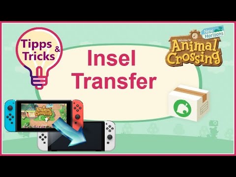 INSEL TRANSFER 💡Animal