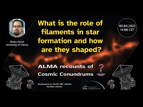 ALMA recounts of cosmic conundrums: Alvaro Hacar (University of Vienna)