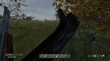 DayZ arm glitch