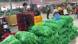 “”ตลาดค้ามะนาวแป้นบ้านแพ้ว&แป้นพิจิตรไร้เมล็ดที่ใหญ่และเยอะที่สุดในประเทศไทย“ตลาดไทยินดีต้อนรับ24ช.ม