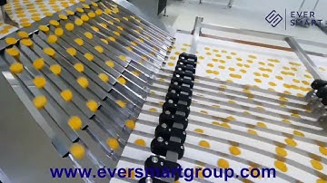 Potato Chips & Thin Crispy Biscuits Automatic Counting Packaging System