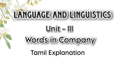 Language and Linguistics | Unit - 3 | 1.Words in Company | Tamil Explanation | BA English