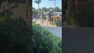 7. August This Test, First Round Score 86.5, Finishing 3Rd.