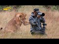 Top 10 Animales Salvajes Soprendiendo a Fotógrafos