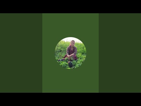 deshi vlogs is live aa jao sabhi log live aa chuki hoon