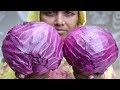 Village Food Farm Fresh Red Cabbage Recipe Village Style Farm Fresh Purple Cabbage and Potato Curry