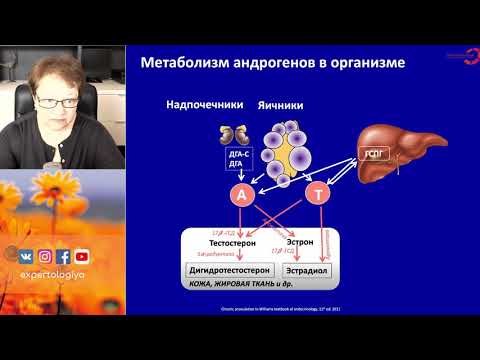 Экспертология | Гиперандрогения в практике гинеколога