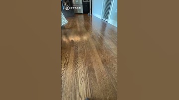 Bắt trọn khoảnh khắc hoạt động 1 ngày của Deebot X1 Omni