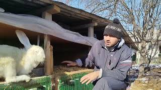 картинка: Тарзи сохтани хечаи харгуш.