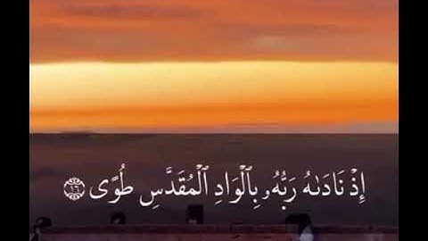 ما تيسر من سورة النازعات بصوت القارئ رعد الكردي