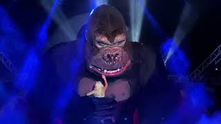 King Kong Circo Mundo Magico - Joao Pessoa Pb